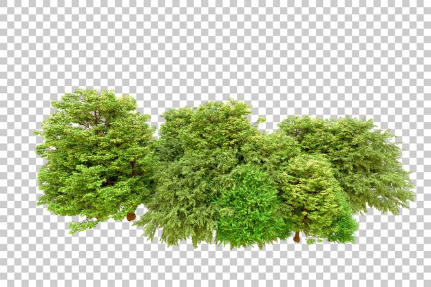 Bosque verde aislado en un fondo transparente Ilustración de renderización 3D