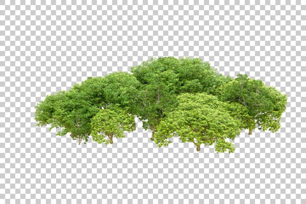 Bosque verde aislado en un fondo transparente Ilustración de renderización 3D