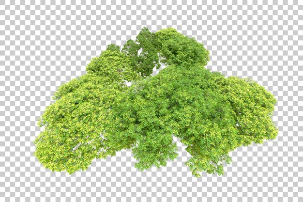 Bosque verde aislado en un fondo transparente Ilustración de renderización 3D
