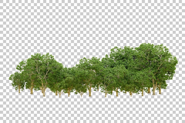 Bosque verde aislado en un fondo transparente Ilustración de renderización 3D