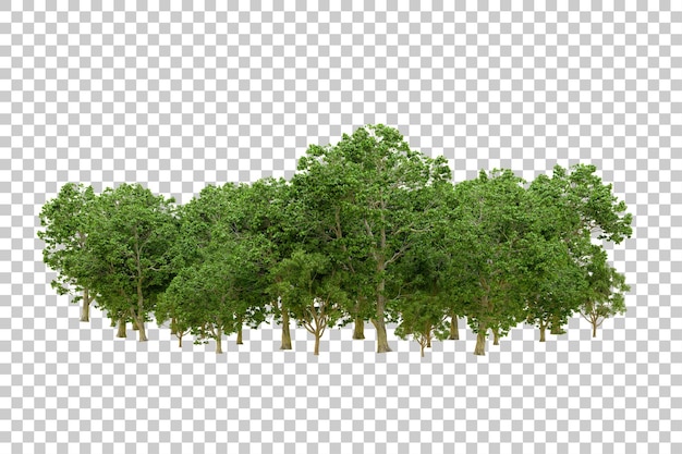 Bosque verde aislado en un fondo transparente Ilustración de renderización 3D