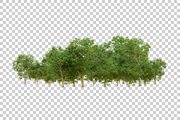 Bosque verde aislado en un fondo transparente Ilustración de renderización 3D