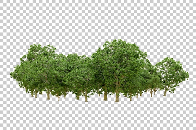 Bosque verde aislado en un fondo transparente Ilustración de renderización 3D
