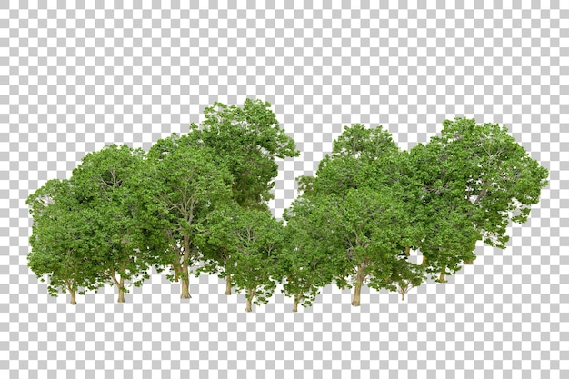 Bosque verde aislado en un fondo transparente Ilustración de renderización 3D