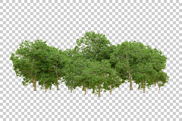 Bosque verde aislado en un fondo transparente Ilustración de renderización 3D