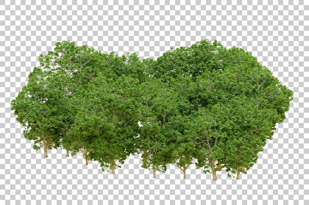 Bosque verde aislado en un fondo transparente Ilustración de renderización 3D