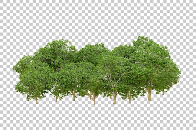 Bosque verde aislado en un fondo transparente Ilustración de renderización 3D