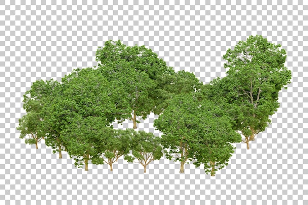 Bosque verde aislado en un fondo transparente Ilustración de renderización 3D
