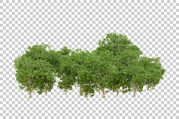 Bosque verde aislado en un fondo transparente Ilustración de renderización 3D