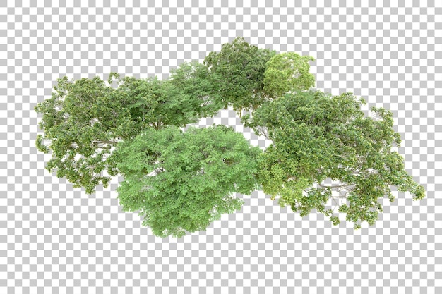 Bosque verde aislado en un fondo transparente Ilustración de renderización 3D