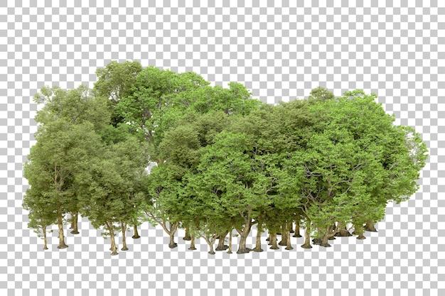 Bosque verde aislado en un fondo transparente Ilustración de renderización 3D