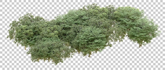 Bosque verde aislado en un fondo transparente Ilustración de renderización 3D
