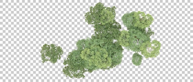 Bosque verde aislado en un fondo transparente Ilustración de renderización 3D