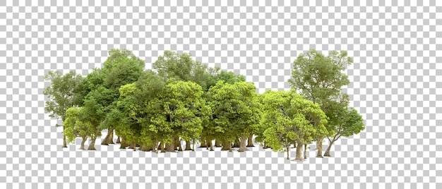 PSD bosque verde aislado en un fondo transparente ilustración de renderización 3d