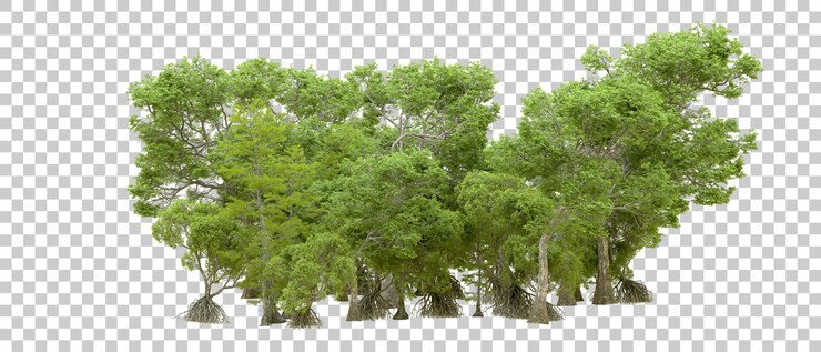 PSD bosque verde aislado en un fondo transparente ilustración de renderización 3d
