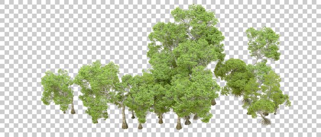 Bosque verde aislado en un fondo transparente Ilustración de renderización 3D
