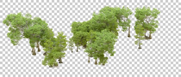 PSD bosque verde aislado en un fondo transparente ilustración de renderización 3d