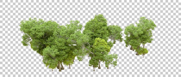 PSD bosque verde aislado en un fondo transparente ilustración de renderización 3d