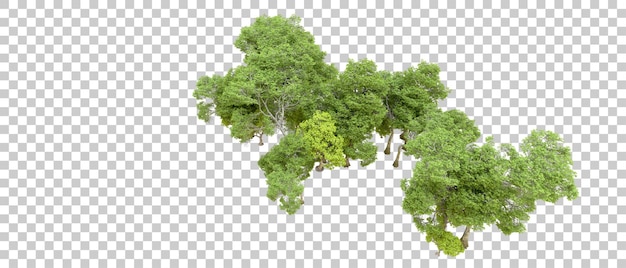 PSD bosque verde aislado en un fondo transparente ilustración de renderización 3d