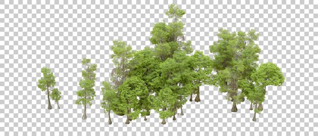 Bosque verde aislado en un fondo transparente Ilustración de renderización 3D