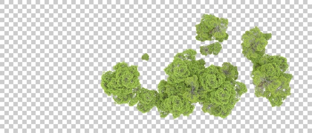 Bosque verde aislado en un fondo transparente Ilustración de renderización 3D