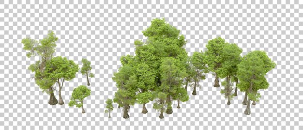 Bosque verde aislado en un fondo transparente Ilustración de renderización 3D