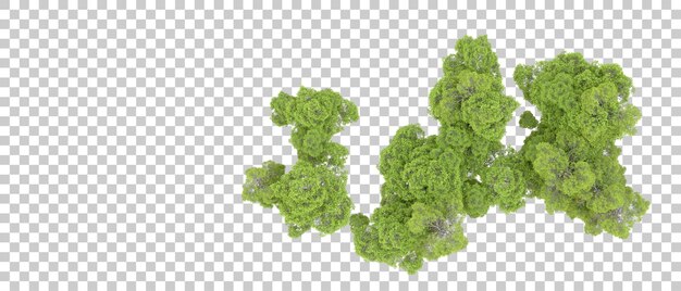 Bosque verde aislado en un fondo transparente Ilustración de renderización 3D