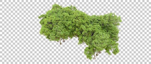 Bosque verde aislado en un fondo transparente ilustración de renderización 3d