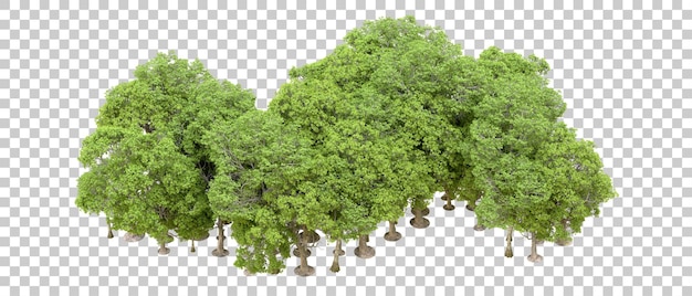 Bosque verde aislado en un fondo transparente Ilustración de renderización 3D