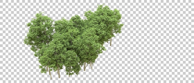 Bosque verde aislado en la ilustración de renderizado 3d de fondo