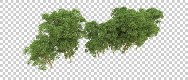 Bosque verde aislado en la ilustración de renderizado 3d de fondo