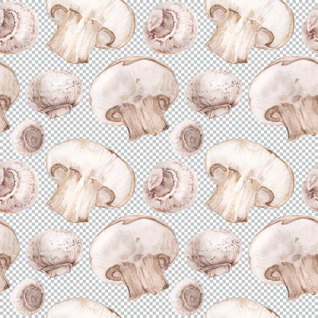 botanical watercolor seamless pattern. fresh white champignon mushrooms