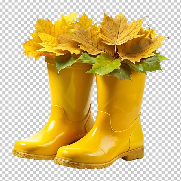 Las botas de otoño aisladas