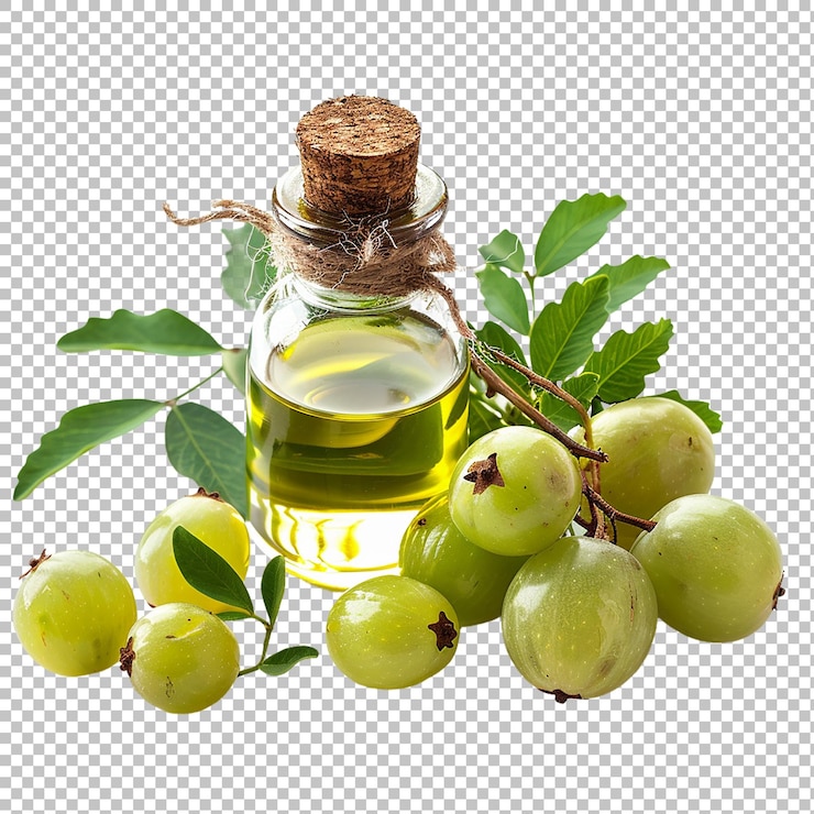 PSD botella de suero o botella de aceite esencial con grosella fresca de la india o fruta de amla