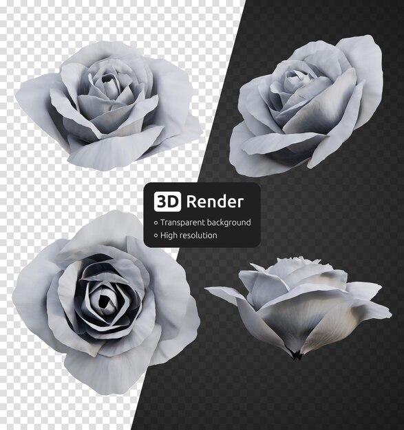 PSD botões de flores de rosa branca 3d