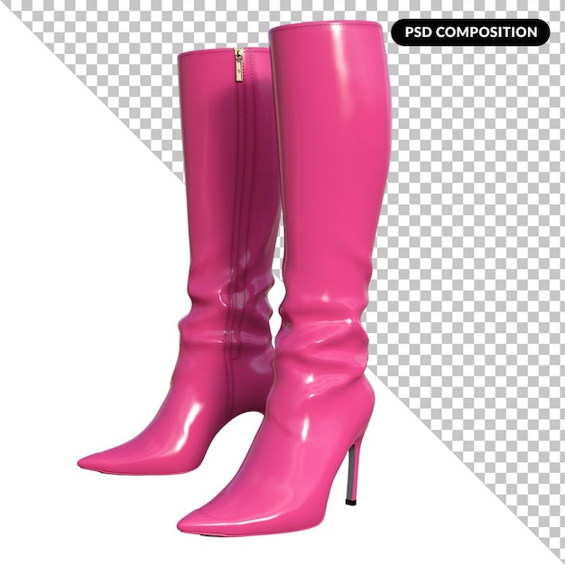 Bottes Féminines Isolées En 3d