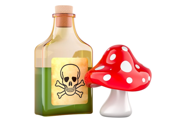 PSD bottiglia di veleno con rendering 3d di amanita muscaria isolato su sfondo trasparente