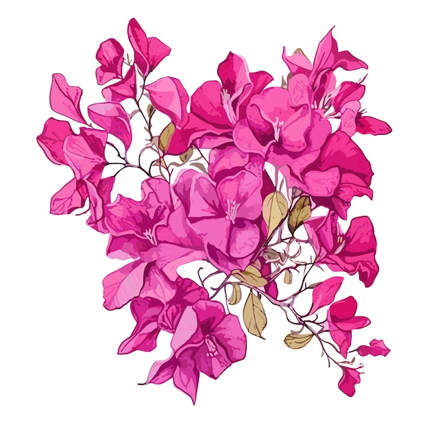 Bougainvillea aquarela tshirt design gráfico ilustração aquarela png psd