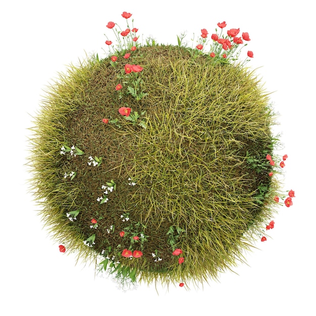 une boule verte avec des fleurs rouges et de la mousse dessus