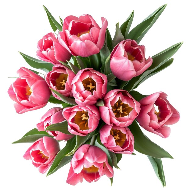 PSD bouquet aus rosa tulpen