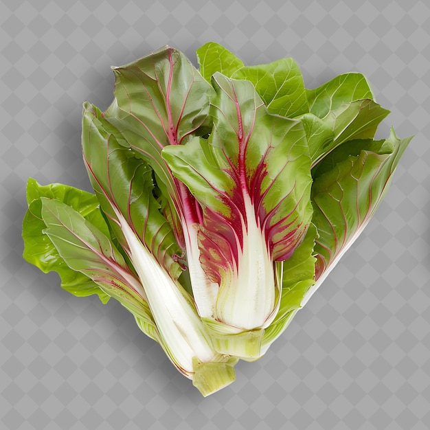 PSD un bouquet de chou rouge et blanc sur un fond gris