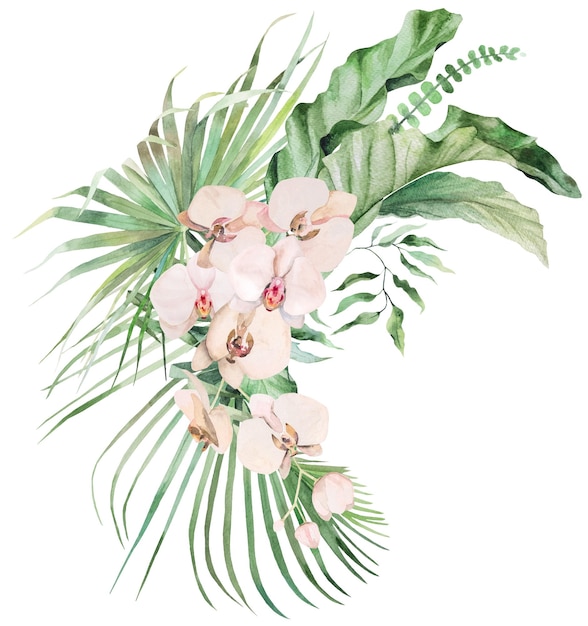 Bouquet com folhas tropicais de aquarela verde e flores de orquídea rosa Ilustração isolada de casamento