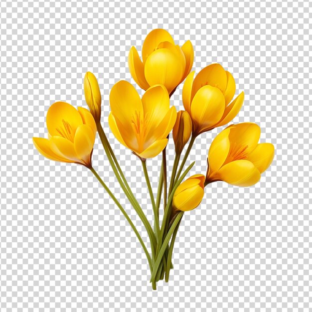 PSD bouquet de crocus amarelos isolados em fundo transparente