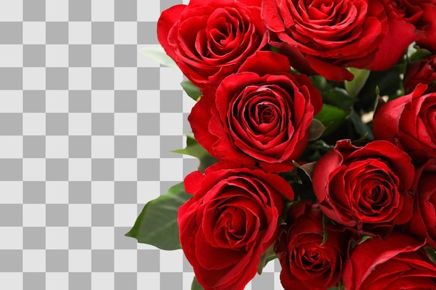 Bouquet de rosas vermelhas espaço para texto isolado em fundo branco PNG