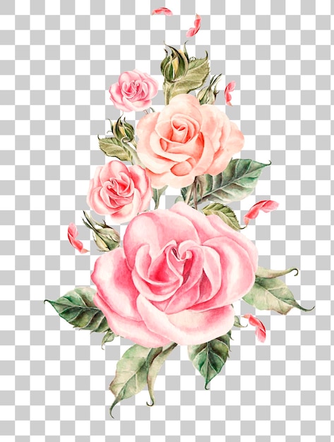 Bouquet di rose rosa ad acquerello