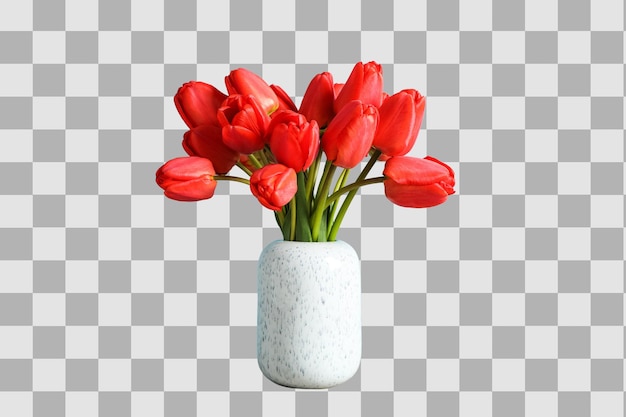 Bouquet di tulipani rossi in un vaso bianco isolato su sfondo bianco PNG
