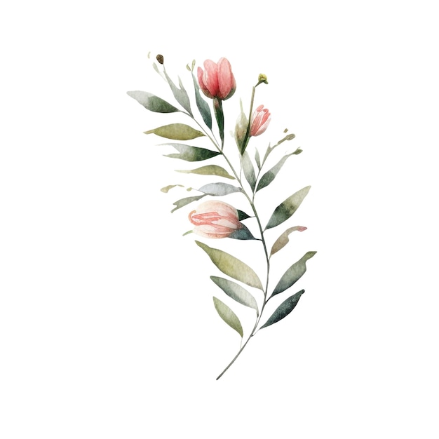 PSD bouquet de fleurs à l'aquarelle des fleurs dessinées à la main isolées sur un fond blanc