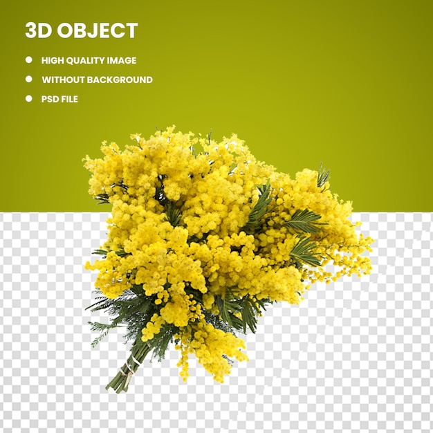 PSD bouquet de fleurs de mimose