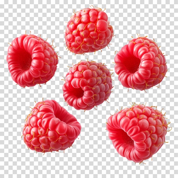 un bouquet de framboises avec une feuille verte isolée sur fond transparent découpage PNG