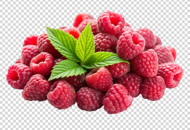 un bouquet de framboises avec des feuilles sur un fond transparent